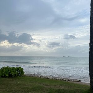 Meet your Posher, Mia